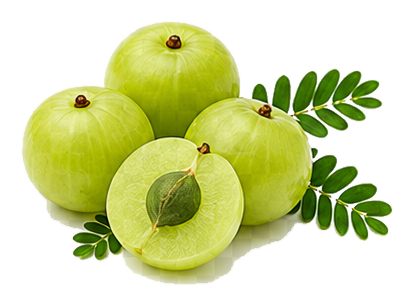 Amla
