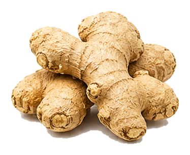 ginger